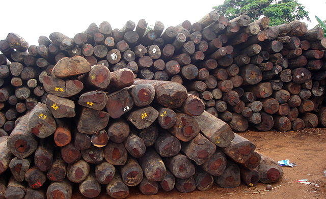 640px-Illegal_rosewood_stockpiles_003.jp