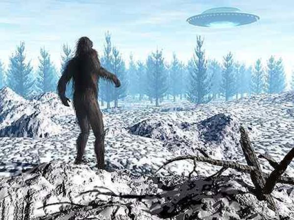 Image result for bigfoot and alien pictures