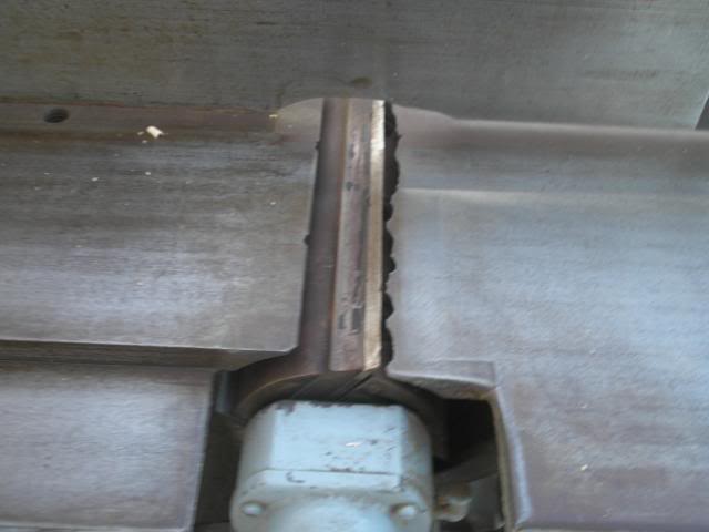 P1010007-5.jpg