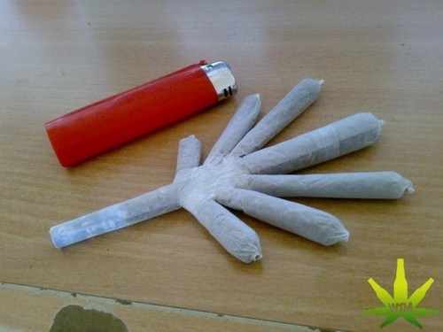 Image result for interesting joints to roll