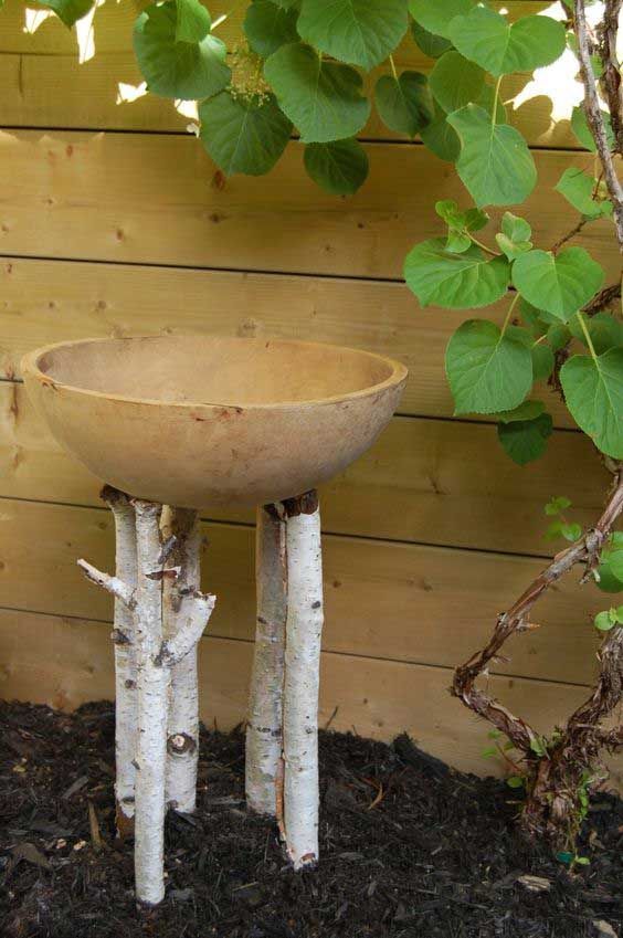 birch-log-bird-bath.jpg