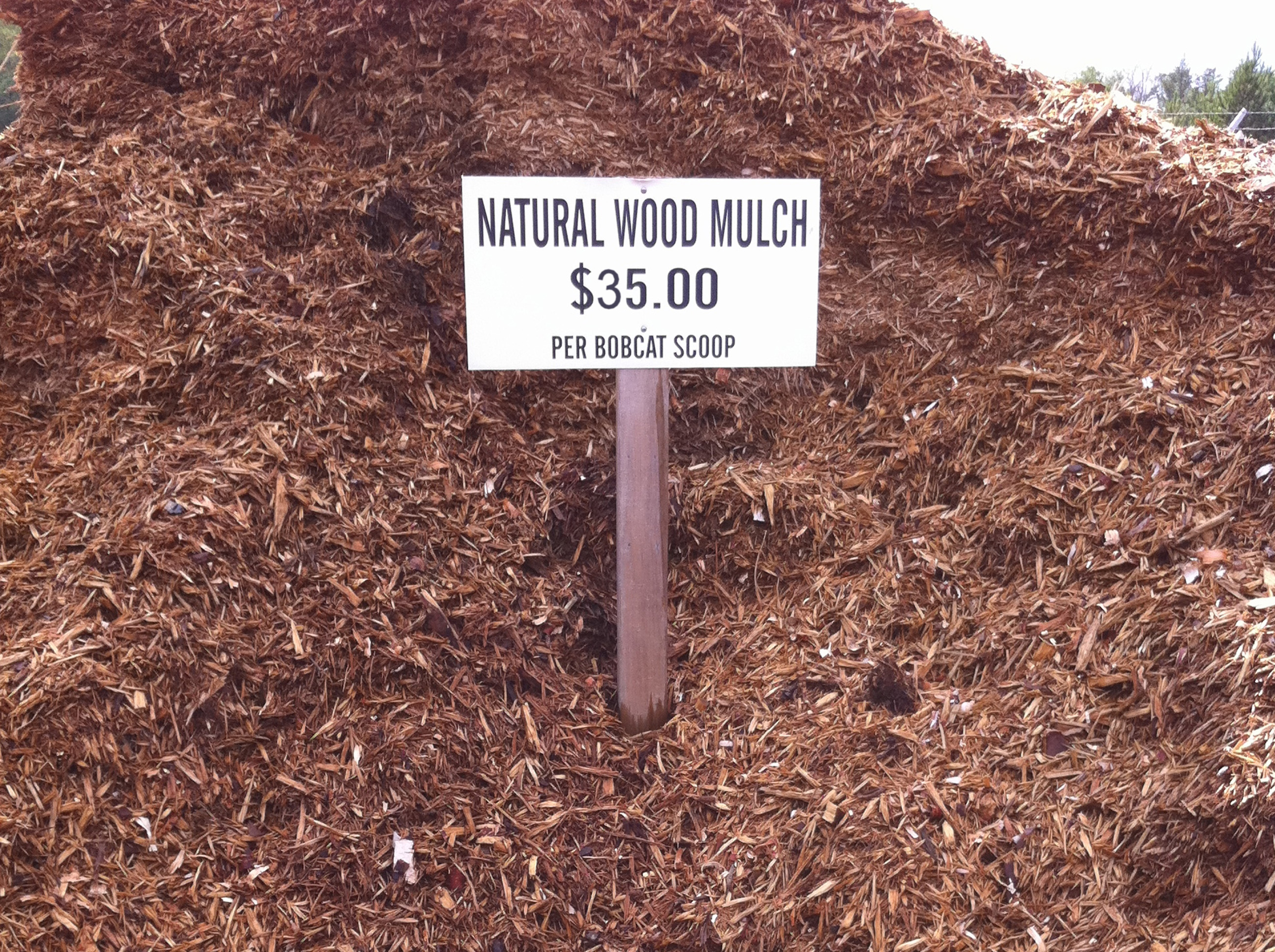 Image result for pictures of mulch