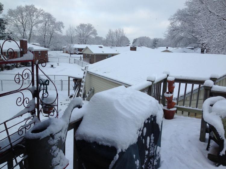 Friday, Feb 27th, What's on Your Patriot Woodworker Agenda?