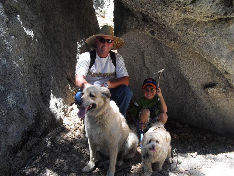 The Patriot Woodworker's Shop Dogs