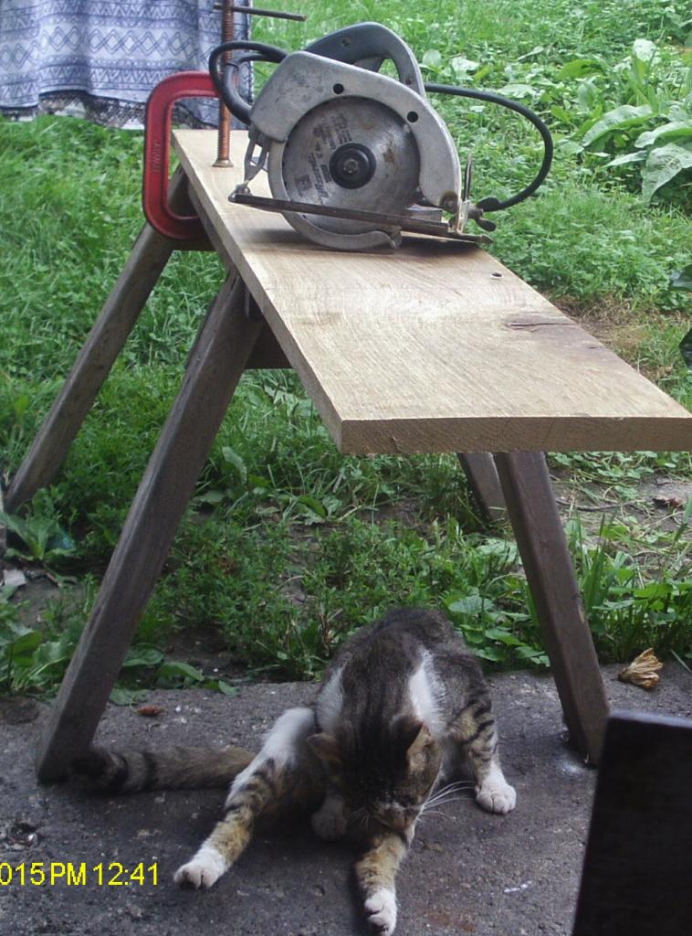 shop_cat.thumb.JPG.74b6fbddded55e3278b66
