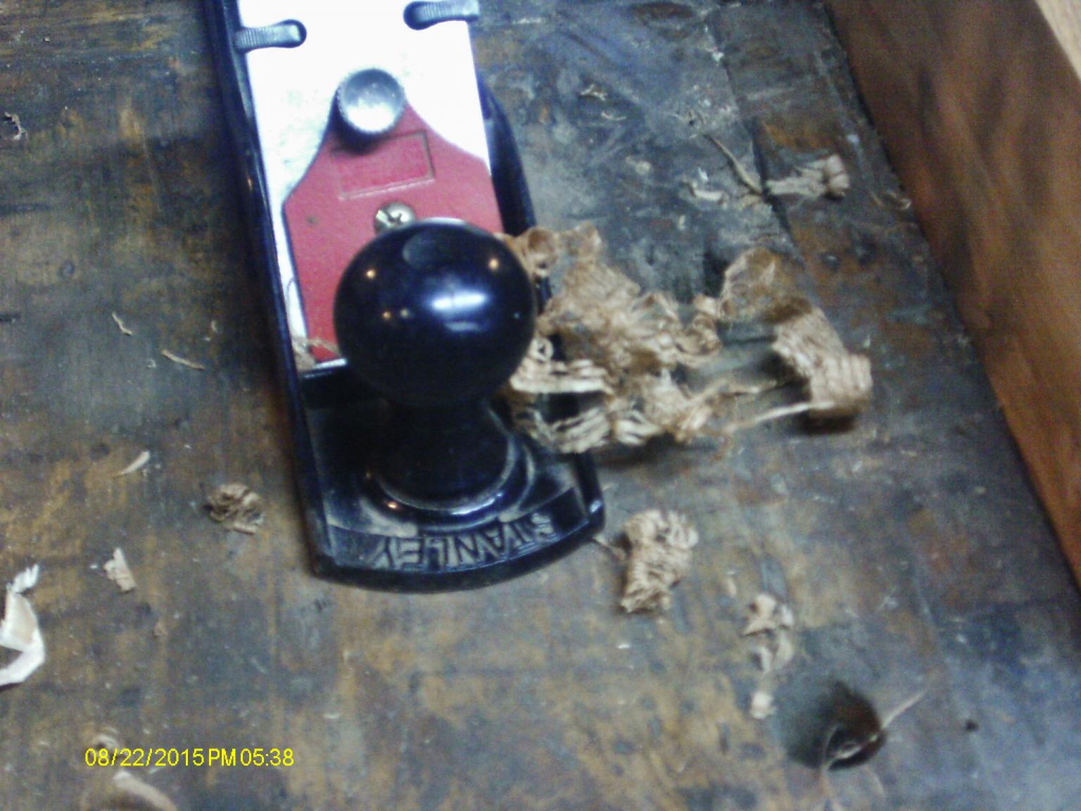 no_label.thumb.JPG.d8ee3cc5293f81be07f0d