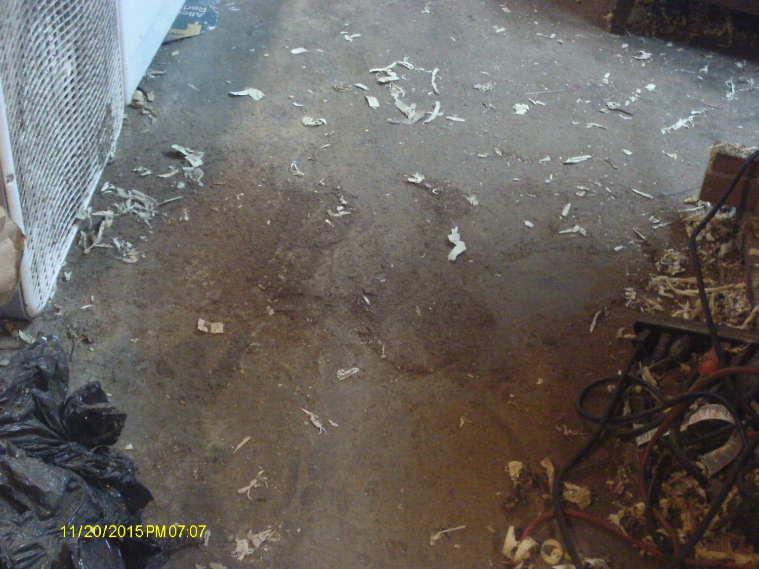 dirty_floor.thumb.JPG.45dd5676a30e9e5fd8