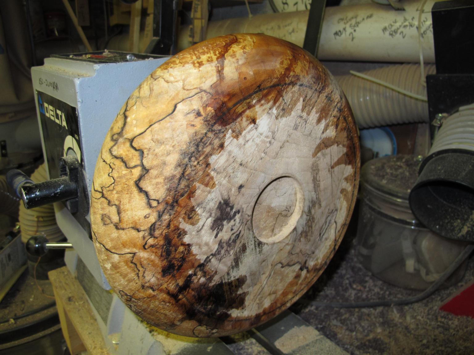 spalted_1.thumb.JPG.4510476704398473876c
