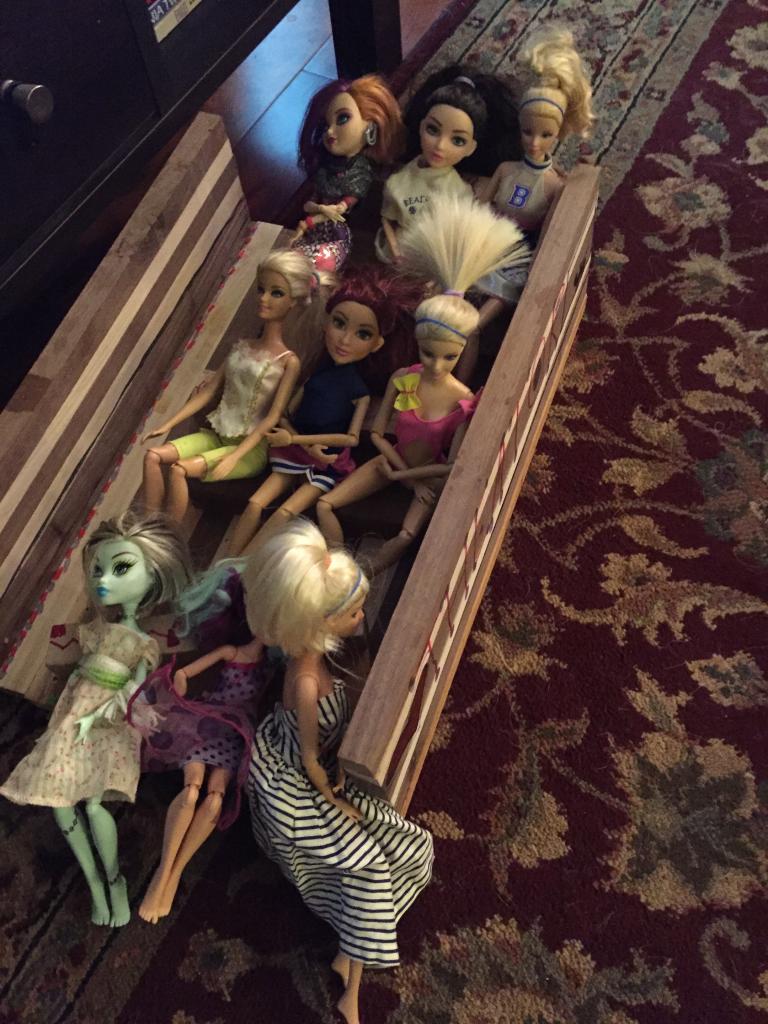 567d7f294c53c_barbiehometheater.thumb.jp