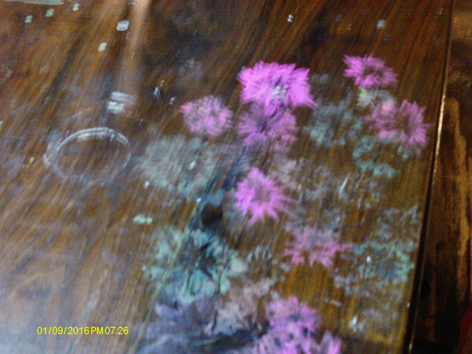 5693d55897fa7_crayolaflowers.thumb.JPG.1