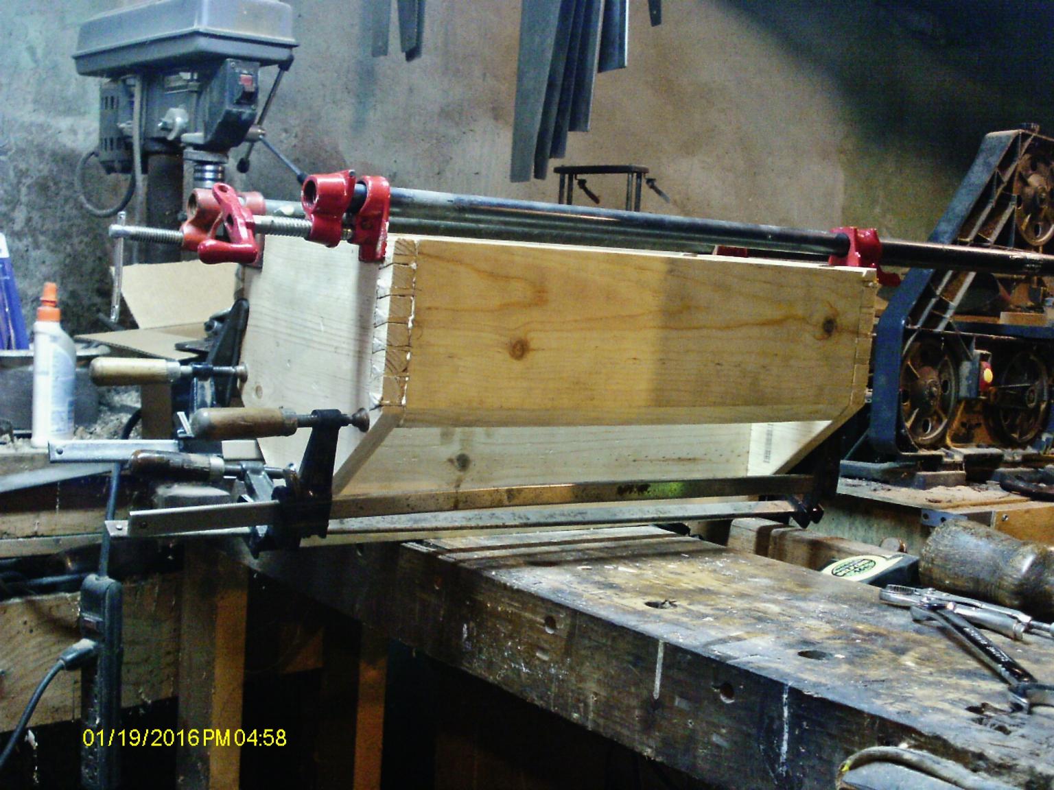 569ec31b04f18_clamepup3.thumb.JPG.b727eb