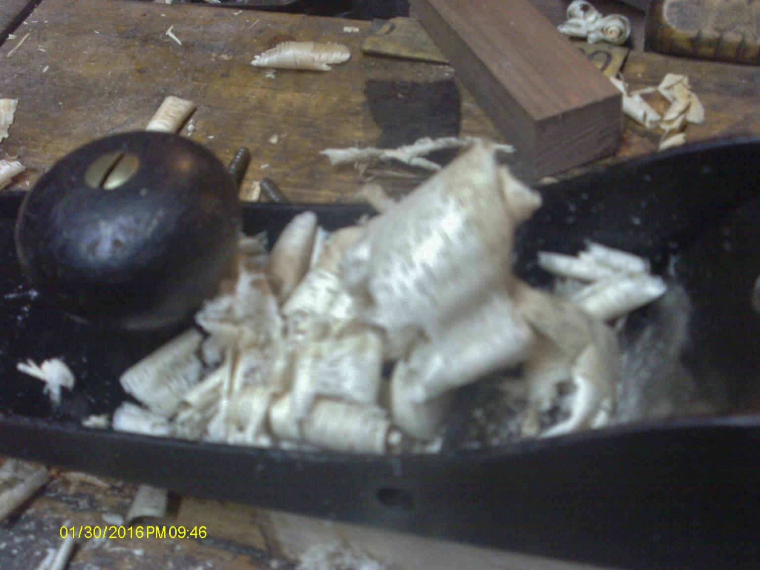 56ae7569ad07b_ShavingsofOak.thumb.JPG.6b