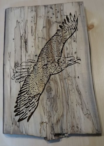 NaturalNaturalEagle01.JPG.77fbbeff3bcf74