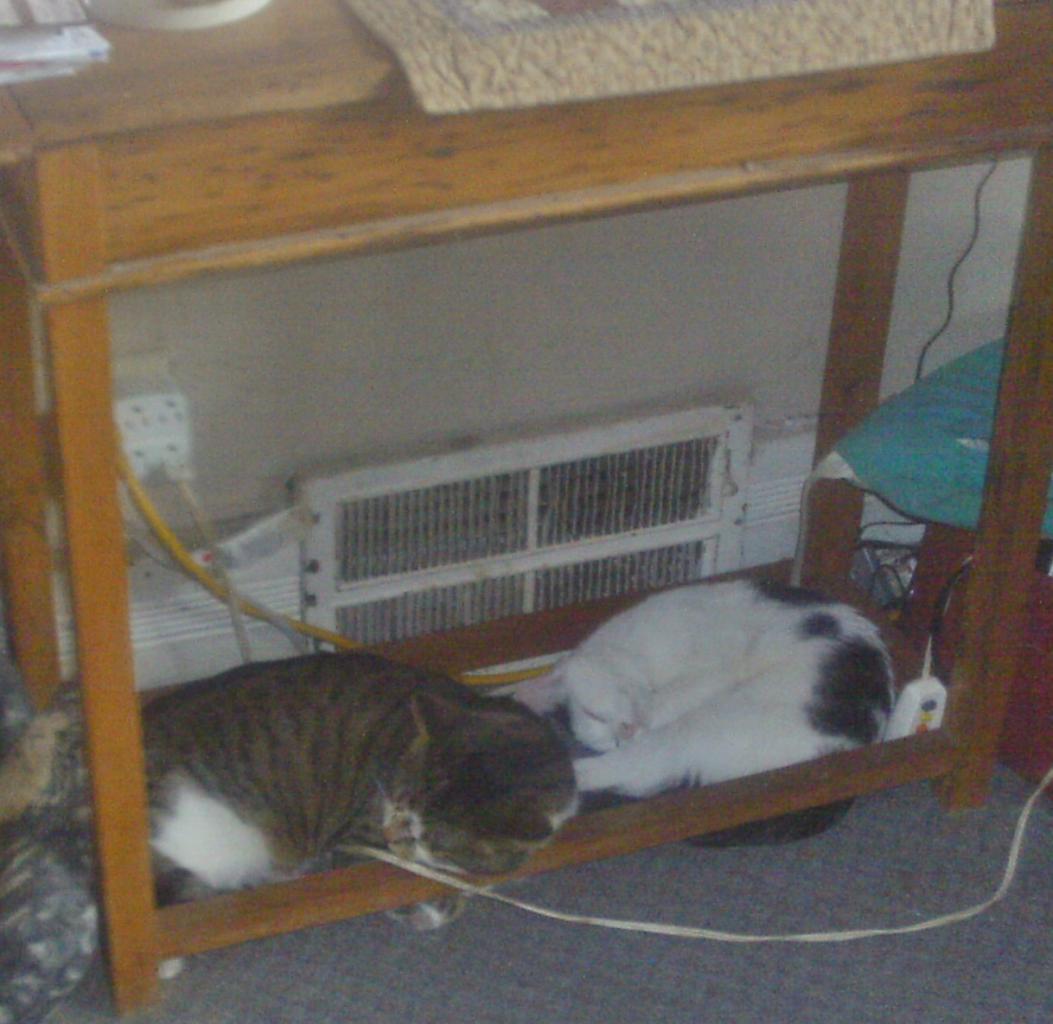 56d4ee1a7fa4f_shopcats.thumb.JPG.29b5f7d