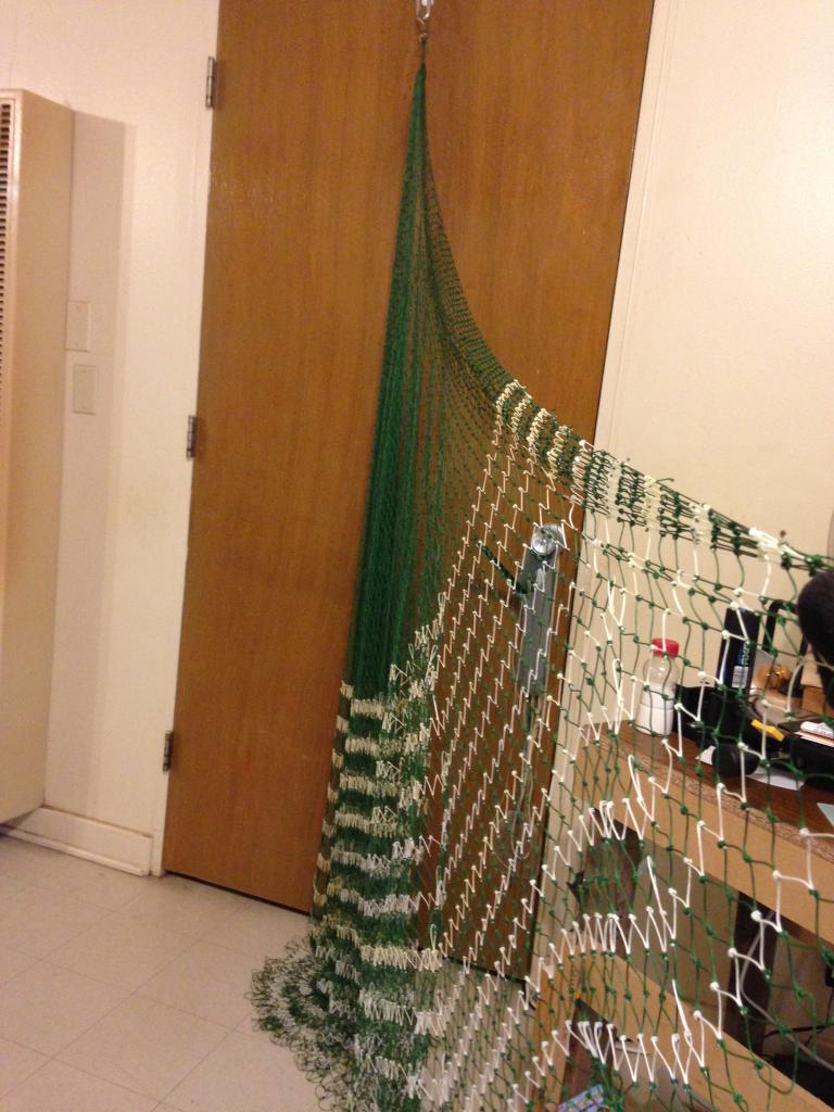 CastNet1.JPG