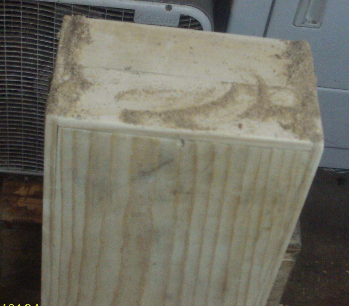 sanding filler.JPG