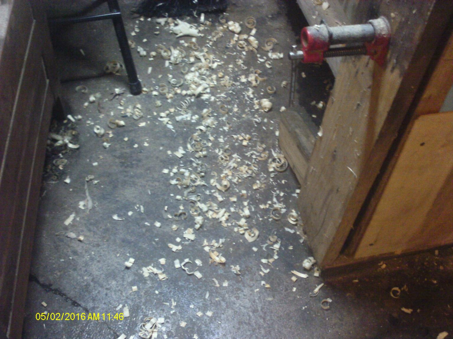 shavings.JPG