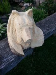 wolf bust