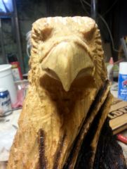 eagle with feathers 9