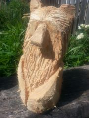 bear in log