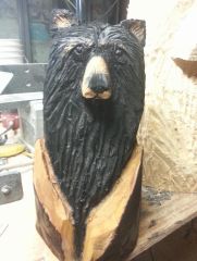 bear in log 2