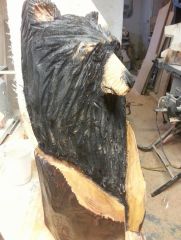 bear in log 3