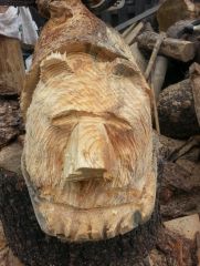 bear log 1 e