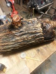 bear log 1h