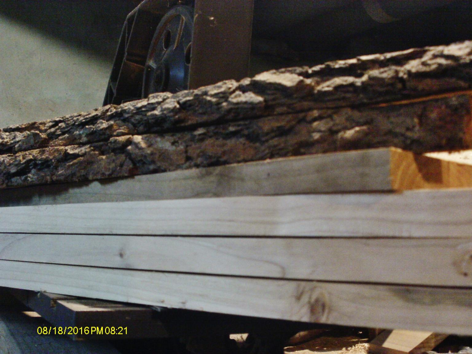 bark samples.JPG