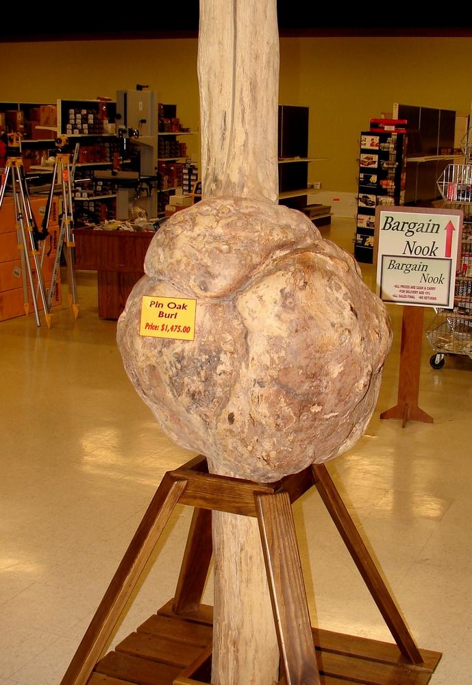 big burl.jpg
