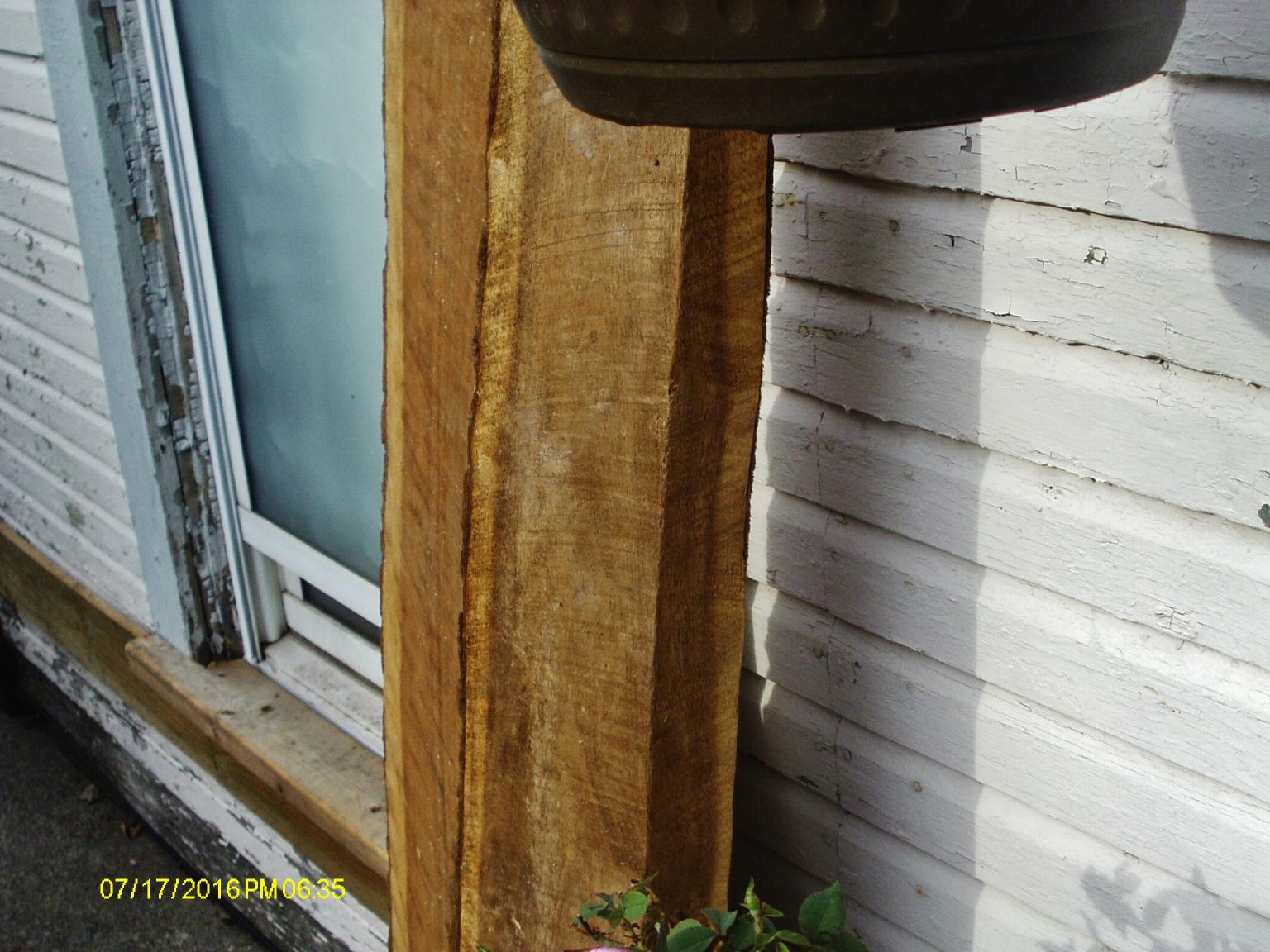 side view.JPG