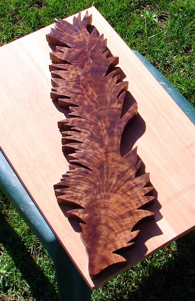 burl fern.JPG