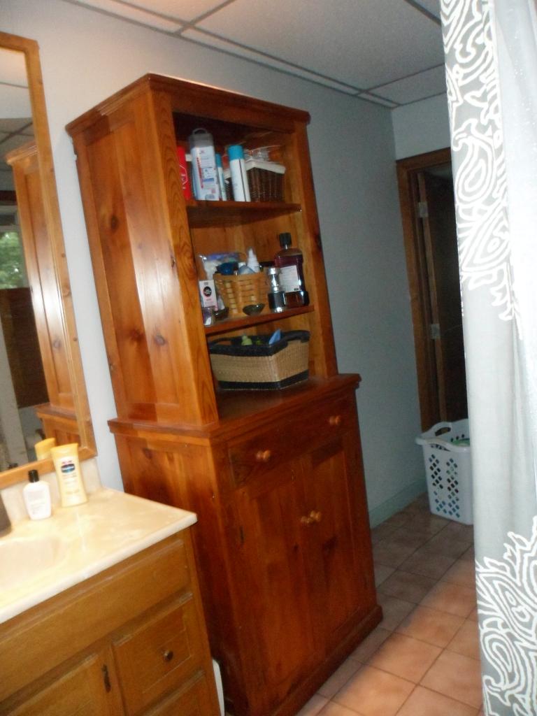 bath cabinet 1.JPG