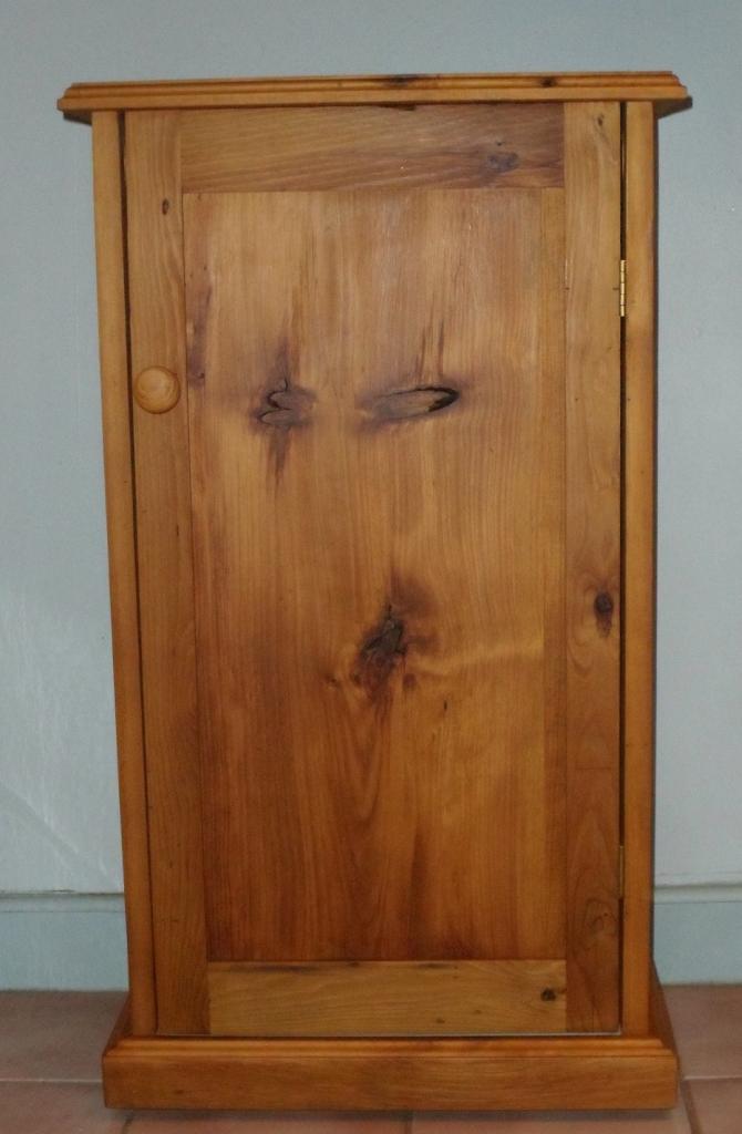 plunger cabinet.JPG
