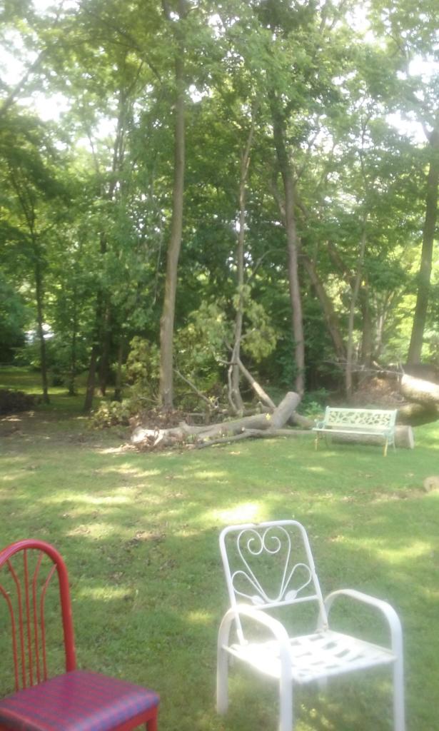 Phone Pictures 12 Sept, 16 189.jpg