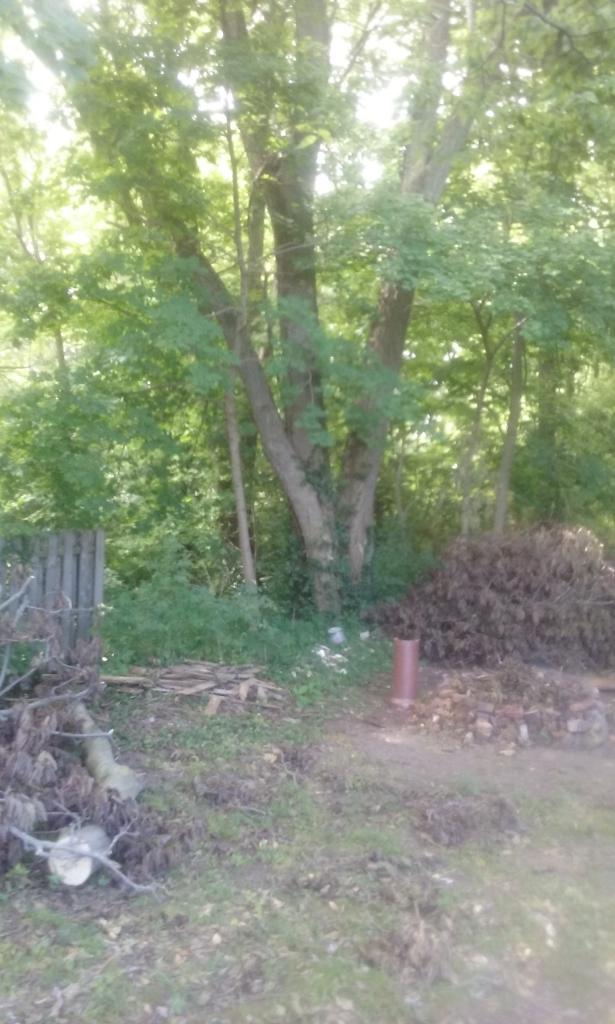 Phone Pictures 12 Sept, 16 190.jpg