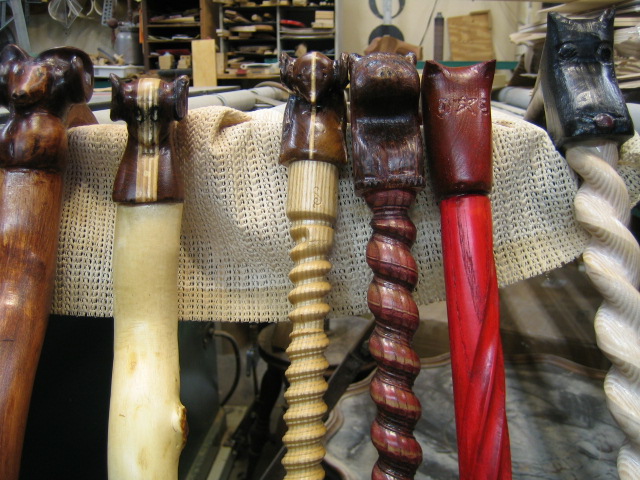 walking stick ready for the world 010.JPG
