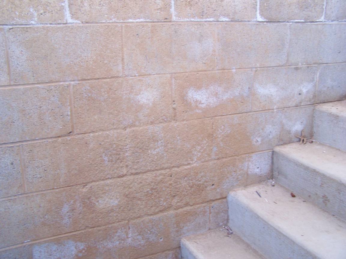 exterior stairwell wall 1.jpg