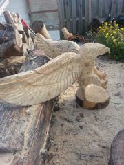 Freedoms Landing2