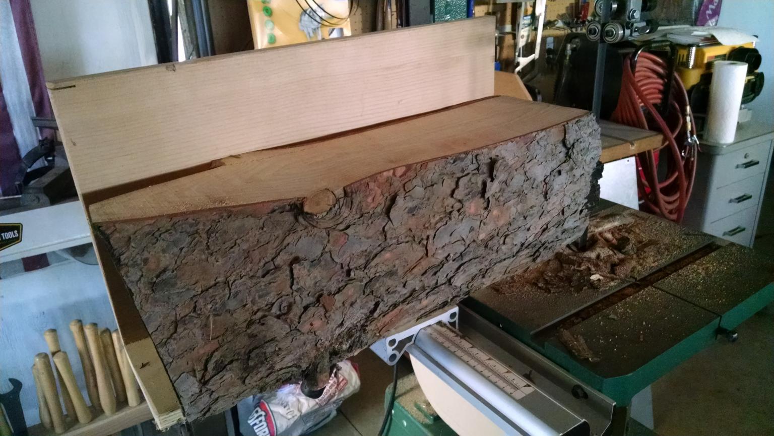 Resaw Grizz BS (6).jpg