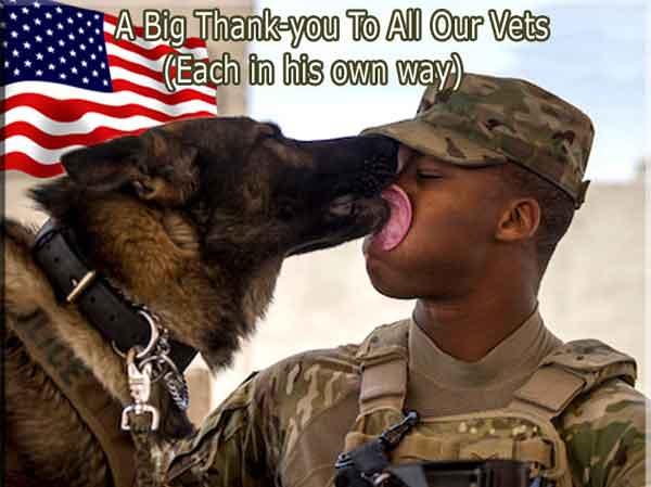 VET 1.jpg