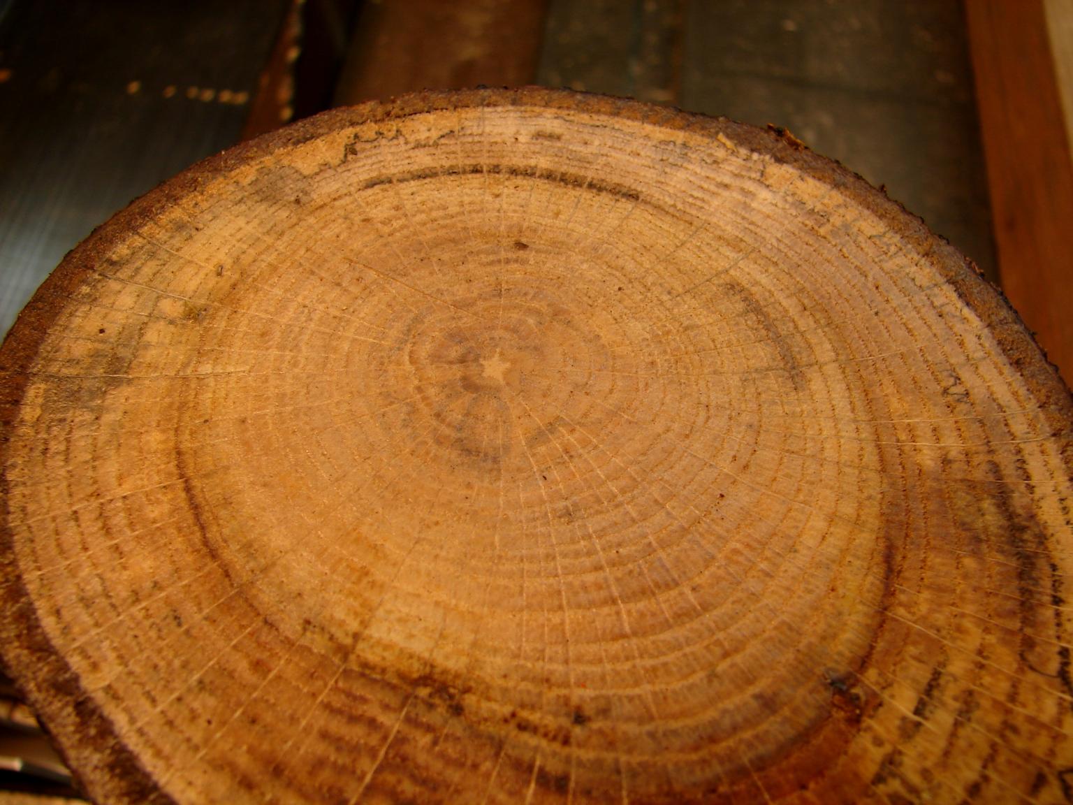 star in the center 001.jpg