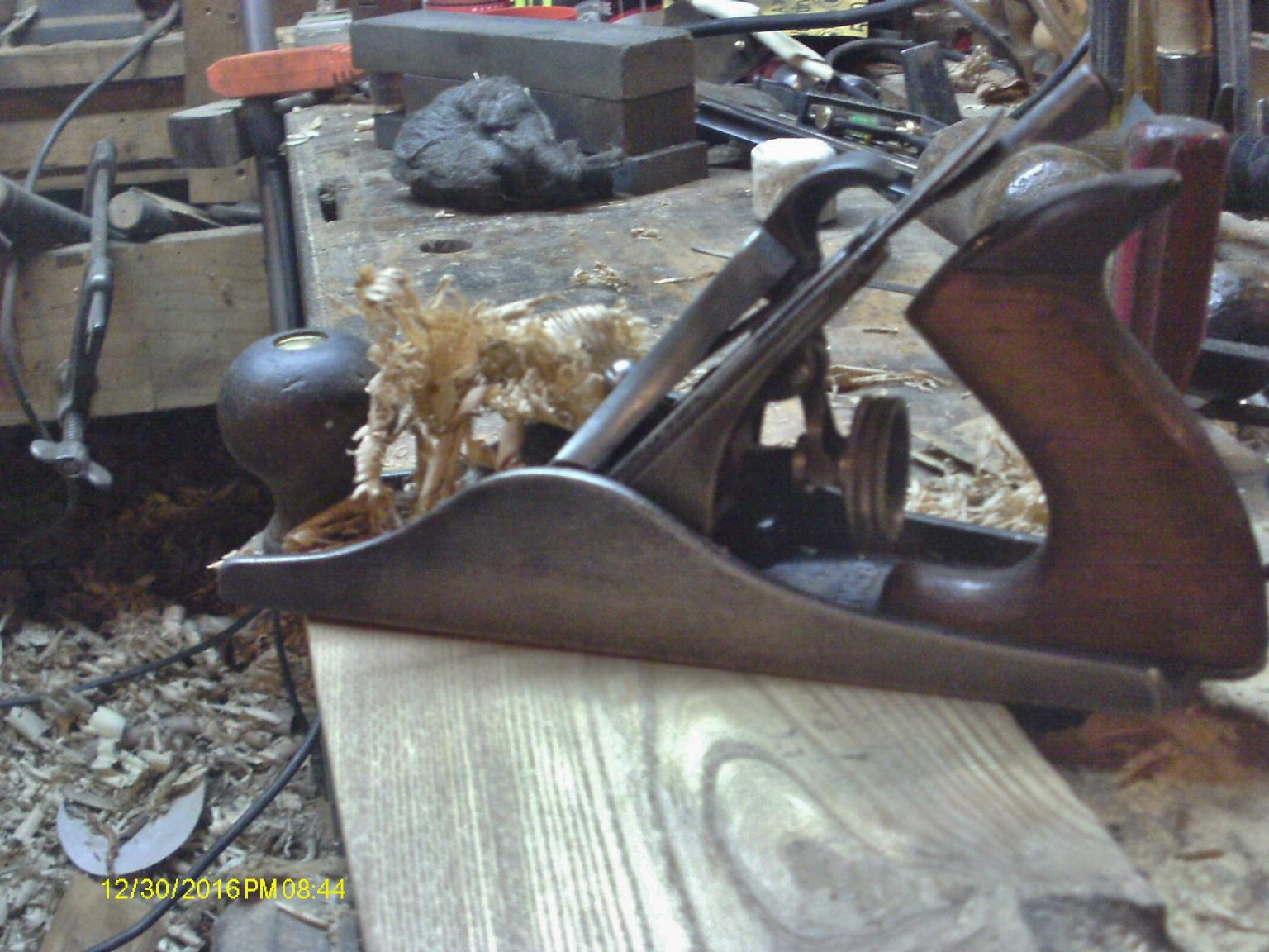 oak shavings.JPG