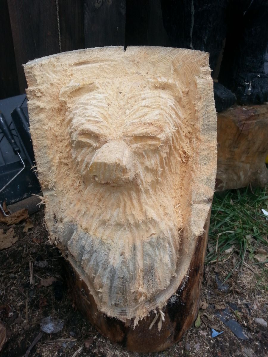 pine 3' black bear bust pine 3' black bear bust