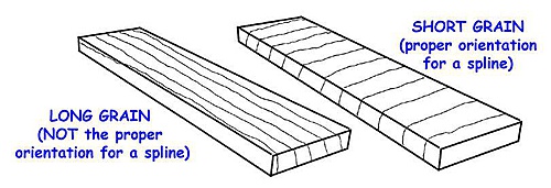 SPLINE 1.jpg