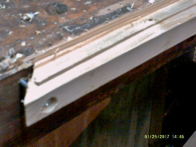 molded edge.JPG