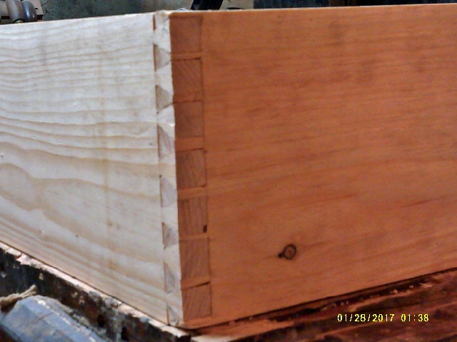 front view.JPG