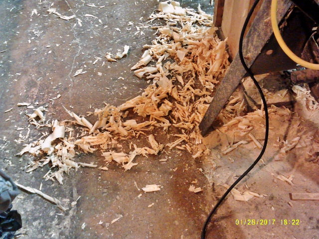 shavings.JPG