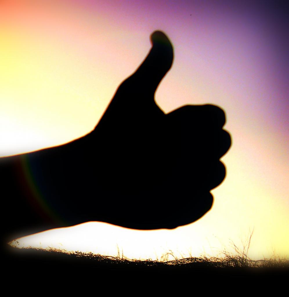 58ae3475abac8_TU3.thumb.jpg.ff9b84b4446d0b49ee4e7e3b50423d0d.jpg