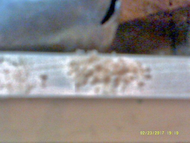 58af88d07cd0f_scraperdust.JPG.0f87bd19db2c6ee2332afc5e0f9d8366.JPG